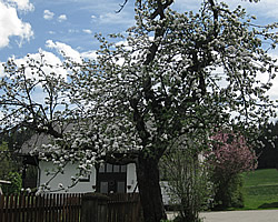Ferienhaus2